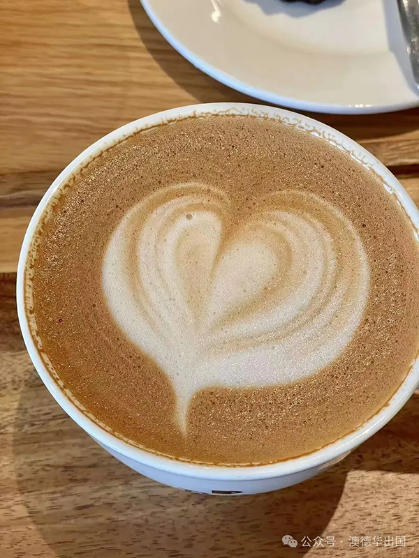 1762158598971085.png 2.webp.png