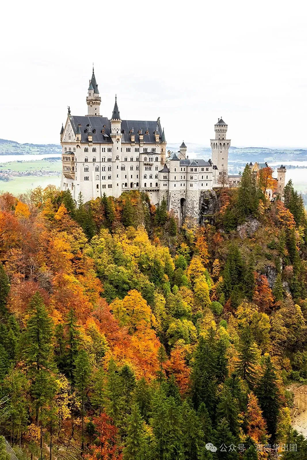 1763103019635473.png 5.webp.png