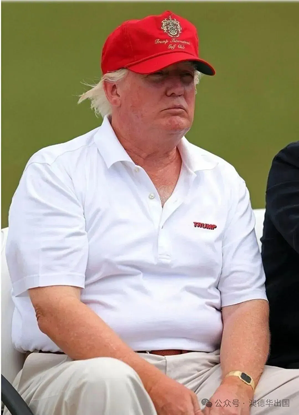 1763540494319966.png 2.webp.png