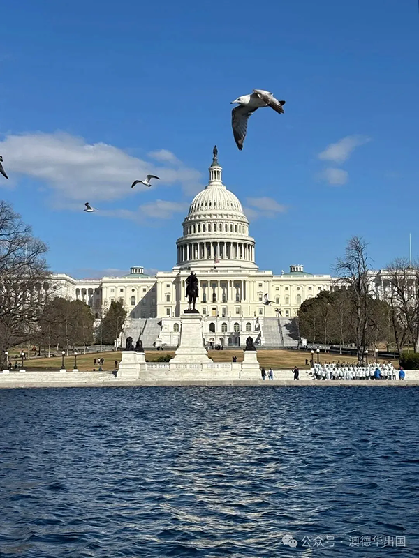 1763540513226960.png 6.webp.png