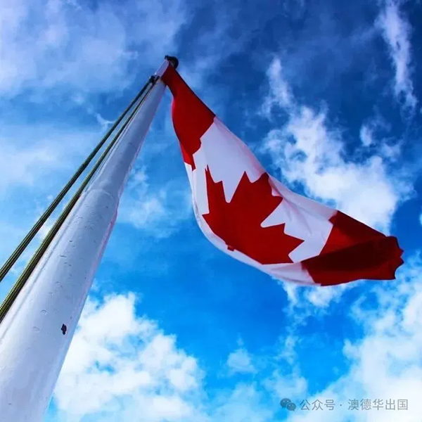 1767518160243808.png 10.webp.png