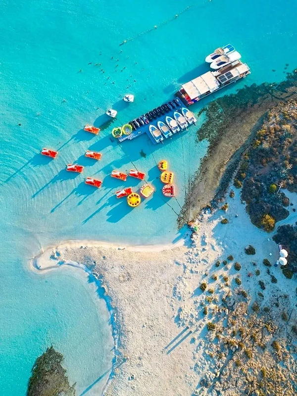 1769071881491692.png 4.webp.png