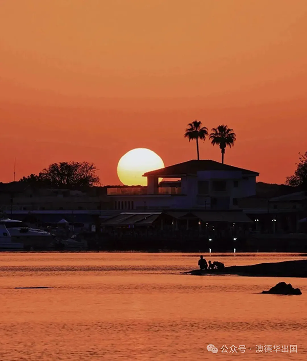 1770358915916722.png 3.webp.png