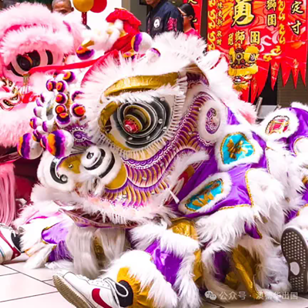 1772176471904226.png 3.webp.png