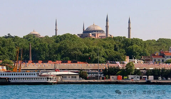 1772176648731257.png 2.webp.png