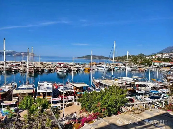 1772176655153003.png 3.webp.png