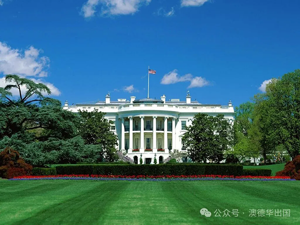 1772610364526874.png 3.webp.png