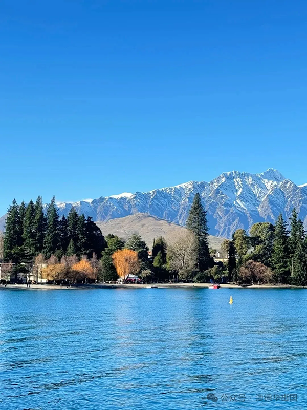 1774250137410179.png 2.webp.png