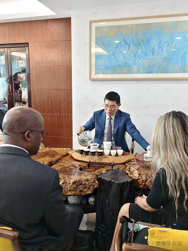 1775033010849774.png 6.webp.png