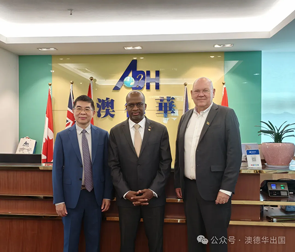 1775033063259393.png 3.webp (1).png