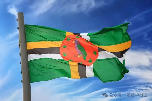 1776068024944575.png 5.webp.png