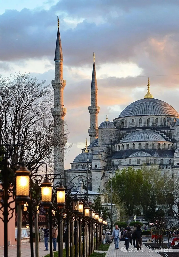 1776068046213498.png 9.webp.png